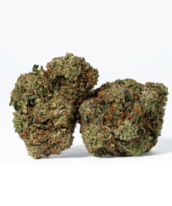 Rockstar Tuna (AAA+)