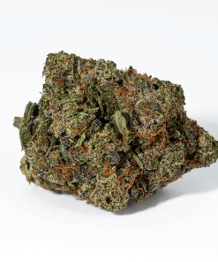 Rockstar Tuna (AAA+)