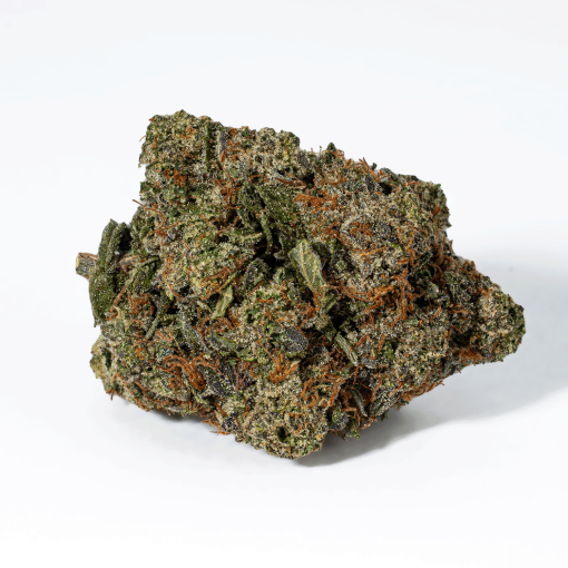 Rockstar Tuna (AAA+)