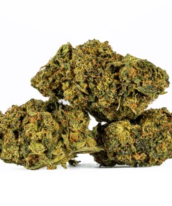 Sour Tangie (AA)