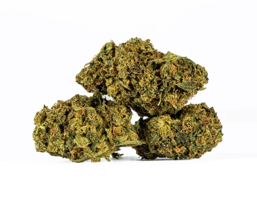 Sour Tangie (AA)