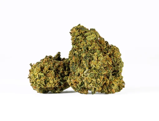 Sour Tangie (AA)