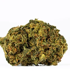 Sour Tangie (AA)