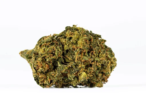 Sour Tangie (AA)