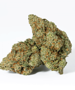 Super Nuken (AAA)