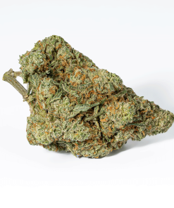 Super Nuken (AAA)