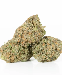Tom Ford (AAAA+)