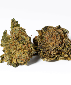 UK Cheese (AA)