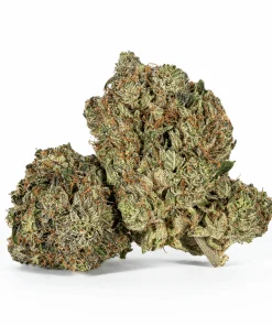 Ultra Pink (AAA+)