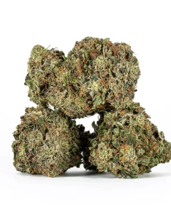 Ultra Pink (AAA+)