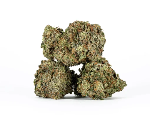 Ultra Pink (AAA+)