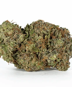 Ultra Pink (AAA+)