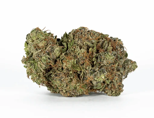 Ultra Pink (AAA+)