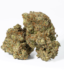Montana Silver (AAA)