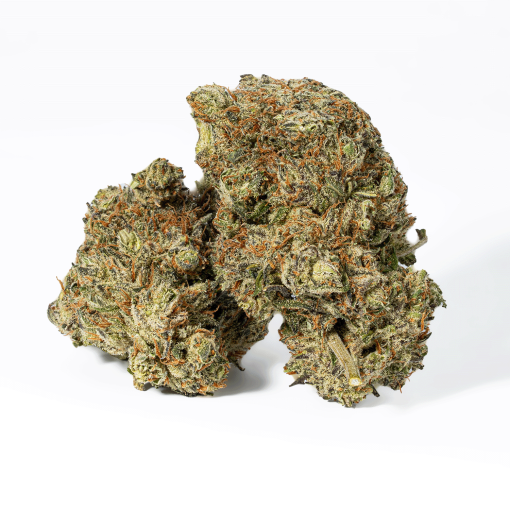 Montana Silver (AAA)