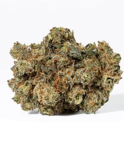 Montana Silver (AAA)