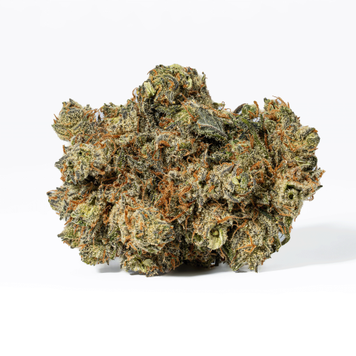 Montana Silver (AAA)