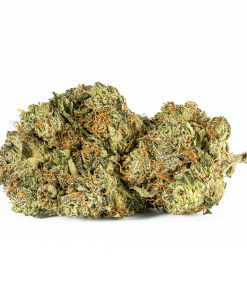 El Jefe (AAA+)