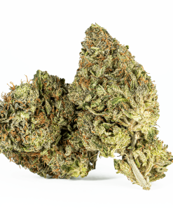 El Jefe (AAA+)
