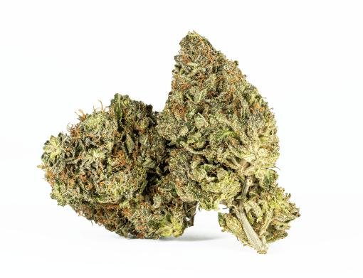 El Jefe (AAA+)