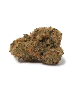 Blueberry OG (AA/AA+)