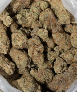 Grey Goose (AAAA+)