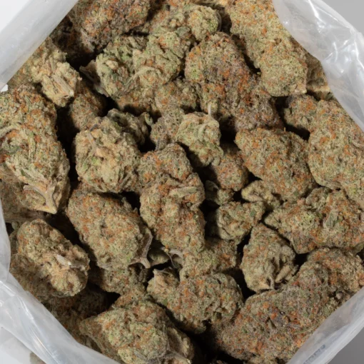 Grey Goose (AAAA+)