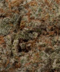 Grey Goose (AAAA+)