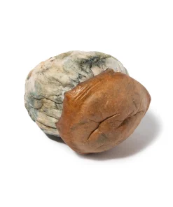 Dino Eggs