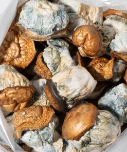 Dino Eggs