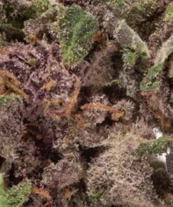 Strawberry Cough (AA/AA+)