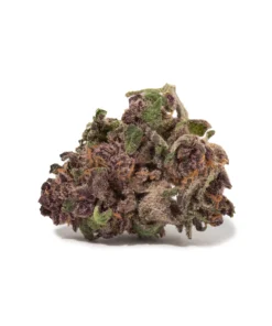 Strawberry Cough (AA/AA+)