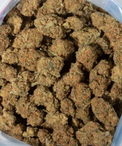 Orange Octane (AA/AA+)