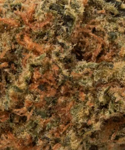 Orange Octane (AA/AA+)