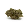 Sensi Star (AA)