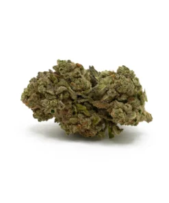 Sensi Star (AA)