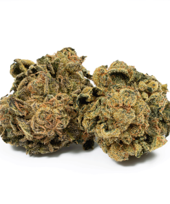 Lemon Skunk (AA)