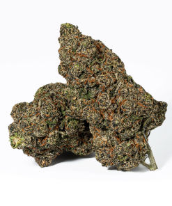 Sunset Runtz (AAAA+)