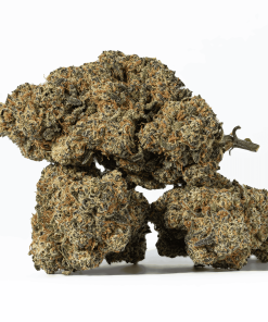 Nuken (AA+)