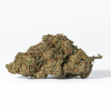Nuken (AA+)