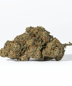 Nuken (AA+)