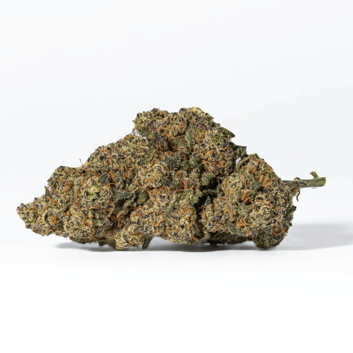 Nuken (AA+)