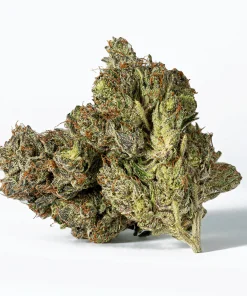 Ghost Ship (AAA+)