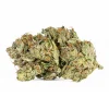 Ghost Ship (AAA+)