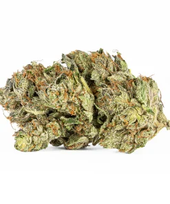Ghost Ship (AAA+)