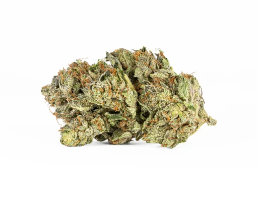 Ghost Ship (AAA+)