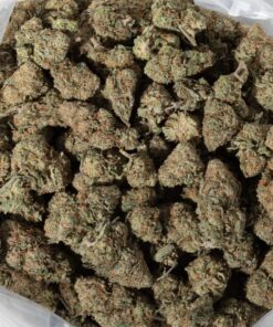 Northern Lights (AAA+)