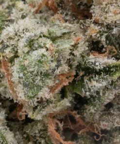 Green Crack (AAAA)