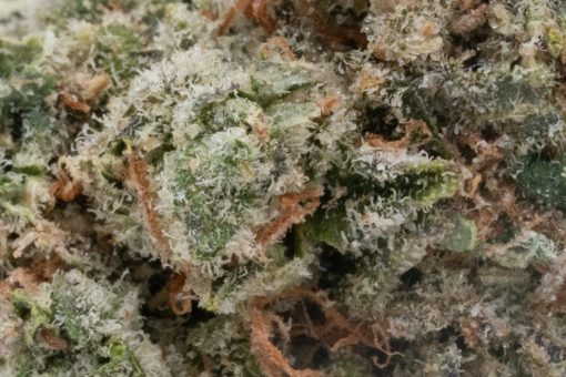 Green Crack (AAAA)
