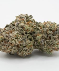 Do Si Dos (AAAA+)